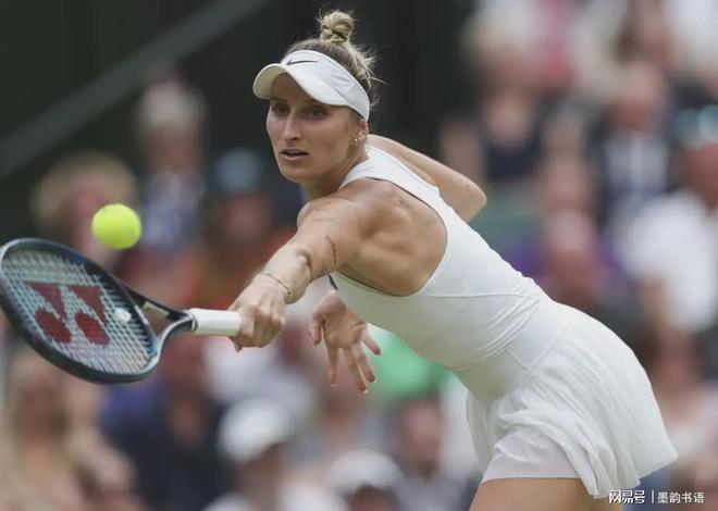 传导球和犀 传导球和犀