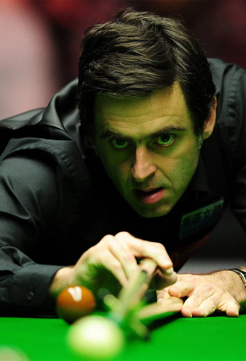 政府与企业 政府与企业